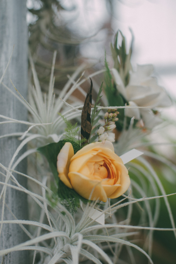 wedding-greenhouse-shelldance-orchid-gardens-wedding-planner-inspiration-styled-shoot