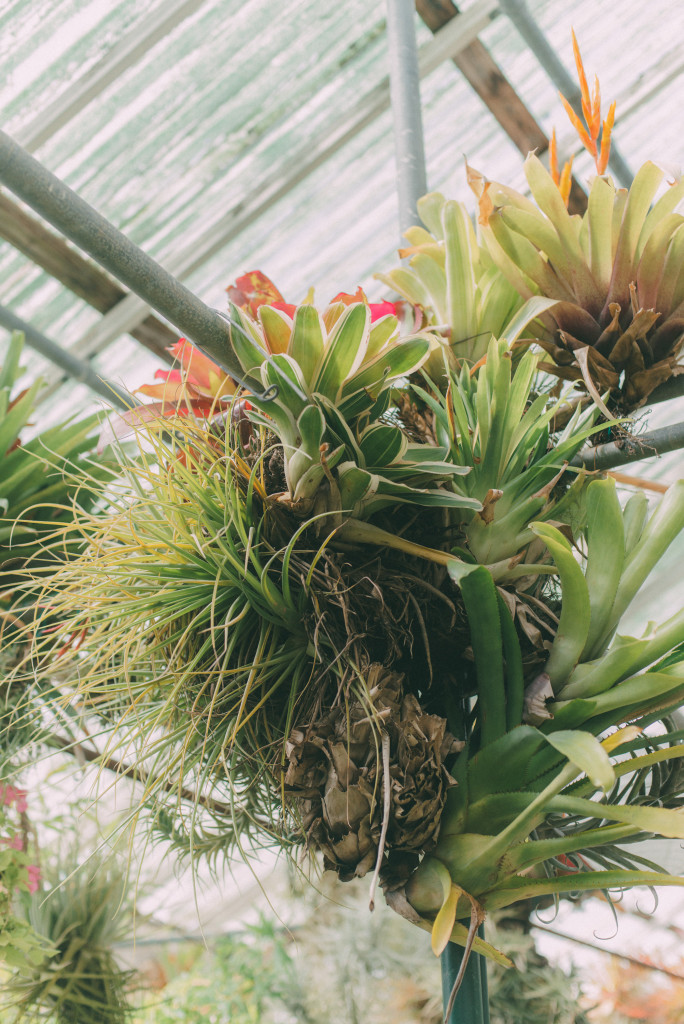 wedding-greenhouse-shelldance-orchid-gardens-wedding-planner-inspiration-styled-shoot-pacifica